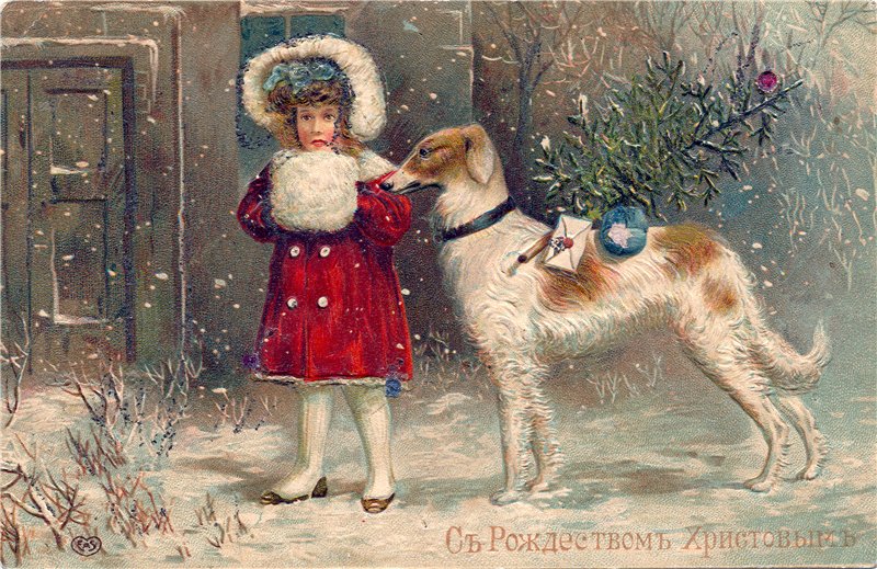 Новогодние фотографии и открытки с собаками. Фото | Тематическая галерея на luchistii-sudak.ru
